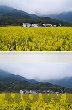 360足球比分-360足球比分，足球迷的实时数据宝库与观赛指南针