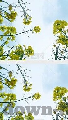 九游部落冲突下载最新版-如何在九游平台上下载最新版部落冲突