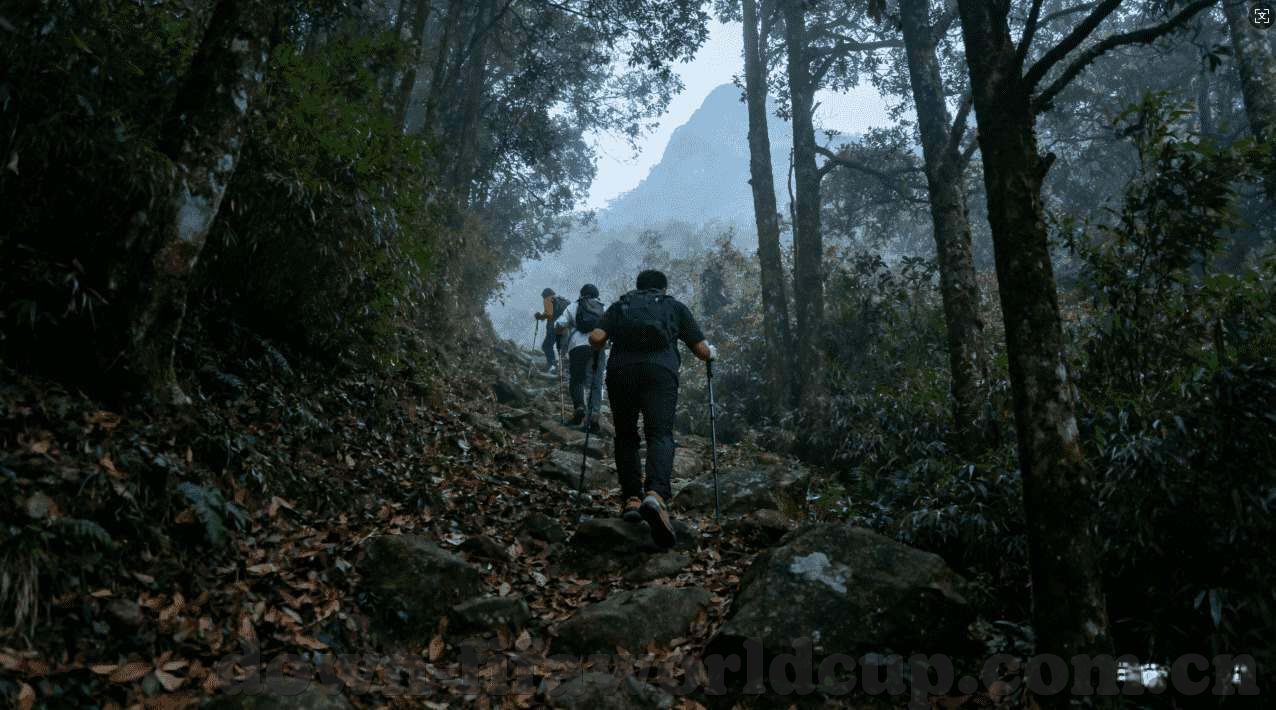 乐鱼体育出款-乐鱼体育出款全解析，理解、流程与注意事项